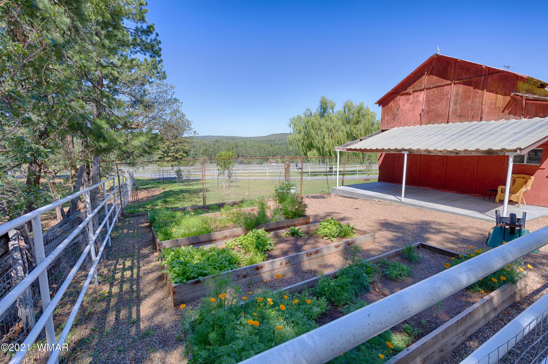 A garden by a red barn in Pinedale AZ